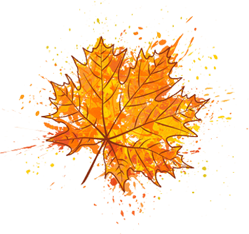 maple leaf illustration